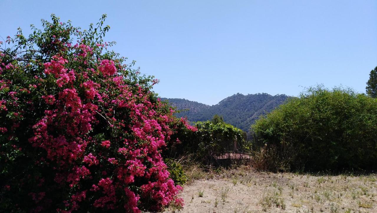 Chalet Montprats, Serra Ngoại thất bức ảnh
